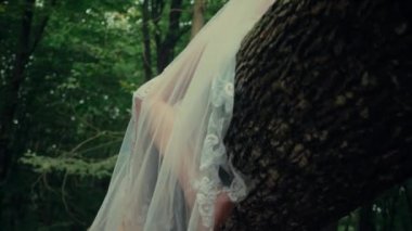 Çekici Dryad veya orman perisi. Ormanda şeffaf beyaz elbiseli hoş bir kadın. Mavka, Naiad, Nymph. Düğün kıyafetiyle bir ormanlık alanda gezinen bir gelinin büyüleyici bir sahnesi. Sihirli bir ormanda gezinen bir kadın