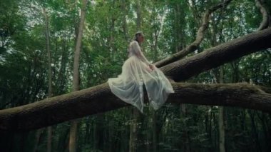 Çekici Dryad veya orman perisi. Ormanda şeffaf beyaz elbiseli hoş bir kadın. Mavka, Naiad, Nymph. Düğün kıyafetiyle bir ormanlık alanda gezinen bir gelinin büyüleyici bir sahnesi. Sihirli bir ormanda gezinen bir kadın