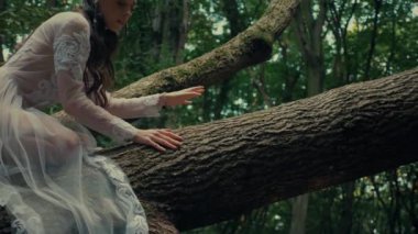 Çekici Dryad veya orman perisi. Ormanda şeffaf beyaz elbiseli hoş bir kadın. Mavka, Naiad, Nymph. Düğün kıyafetiyle bir ormanlık alanda gezinen bir gelinin büyüleyici bir sahnesi. Sihirli bir ormanda gezinen bir kadın