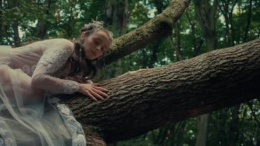 Çekici Dryad veya orman perisi. Ormanda şeffaf beyaz elbiseli hoş bir kadın. Mavka, Naiad, Nymph. Düğün kıyafetiyle bir ormanlık alanda gezinen bir gelinin büyüleyici bir sahnesi. Sihirli bir ormanda gezinen bir kadın