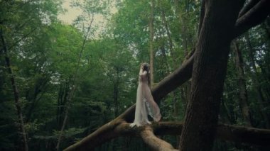 Çekici Dryad veya orman perisi. Ormanda şeffaf beyaz elbiseli hoş bir kadın. Mavka, Naiad, Nymph. Düğün kıyafetiyle bir ormanlık alanda gezinen bir gelinin büyüleyici bir sahnesi. Sihirli bir ormanda gezinen bir kadın