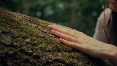 Çekici Dryad veya orman perisi. Ormanda şeffaf beyaz elbiseli hoş bir kadın. Mavka, Naiad, Nymph. Düğün kıyafetiyle bir ormanlık alanda gezinen bir gelinin büyüleyici bir sahnesi. Sihirli bir ormanda gezinen bir kadın