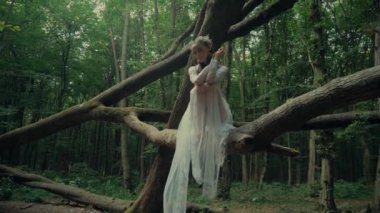 Çekici Dryad veya orman perisi. Ormanda şeffaf beyaz elbiseli hoş bir kadın. Mavka, Naiad, Nymph. Düğün kıyafetiyle bir ormanlık alanda gezinen bir gelinin büyüleyici bir sahnesi. Sihirli bir ormanda gezinen bir kadın