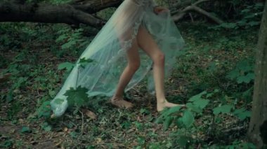 Çekici Dryad veya orman perisi. Ormanda şeffaf beyaz elbiseli hoş bir kadın. Mavka, Naiad, Nymph. Düğün kıyafetiyle bir ormanlık alanda gezinen bir gelinin büyüleyici bir sahnesi. Sihirli bir ormanda gezinen bir kadın