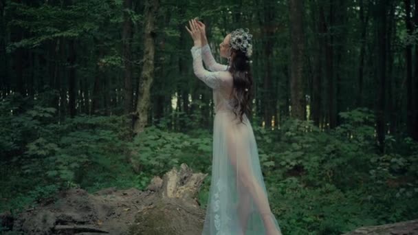 Dryade Attrayant Fée Forestière Femme Charmante Dans Une Robe Blanche — Video