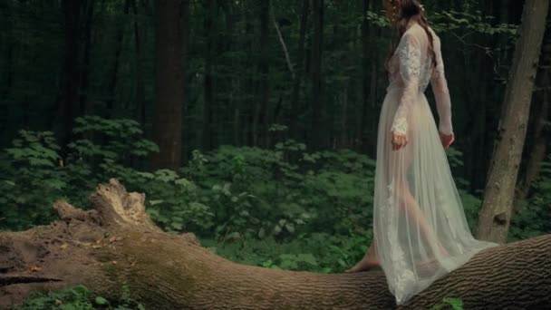 Приваблива Дріада Або Лісова Фея Чарівна Жінка Прозорому Білому Одязі — стокове відео