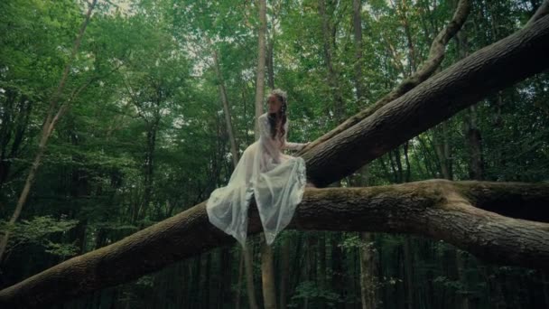 Attractive Dryad Forest Fairy Charming Woman Transparent White Dress Forest — Stock Video