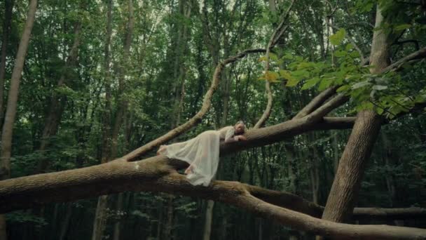 Vonzó Dryad Vagy Forest Fairy Elbűvölő Átlátszó Fehér Ruhában Erdőben — Stock videók