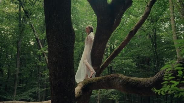 Vonzó Dryad Vagy Forest Fairy Elbűvölő Átlátszó Fehér Ruhában Erdőben — Stock videók