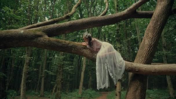 Çekici Dryad Veya Orman Perisi Ormanda Şeffaf Beyaz Elbiseli Hoş — Stok video