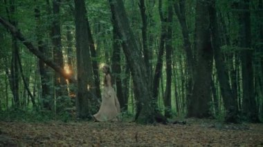 Çekici Dryad veya orman perisi. Ormanda şeffaf beyaz elbiseli hoş bir kadın. Mavka, Naiad, Nymph. Düğün kıyafetiyle bir ormanlık alanda gezinen bir gelinin büyüleyici bir sahnesi. Sihirli bir ormanda gezinen bir kadın