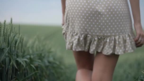 Žena Rozevlátých Šatech Elegantně Točí Sluncem Zalité Louce Ženské Šaty — Stock video