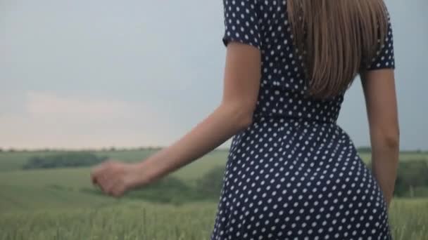 흐르는 드레스를 여자는 햇볕이 초원에서 우아하게 회전합니다 밭에서 자유롭게 여자의 — 비디오