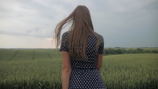 Femeie Într Rochie Curgătoare Învârte Grațios Într Pajiște Luminată Soare — Videoclip de stoc