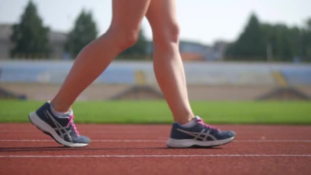 Female Athlete Jogging Track Stadium Female Athlete Doing Physical Exercises — Stock Video