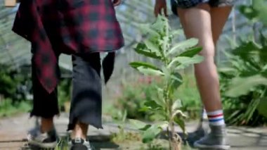 Ciddi adam ve kız kameraya poz veriyor. Moda mankenleri kucaklaşır. Birbirine aşık bir çift. Eski usul, holiganlar. Canlı bir sera ortamında iki genç birey. Botanik tapınağında birlikte duran iki birey. Genç çift eğleniyor 