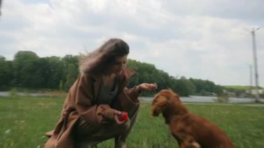 Mutlu kadın ve tüylü arkadaşı parkta güneşli bir günün tadını çıkarıyorlar. Parkta neşeli kahverengi bir köpek olan Cocker Spaniel ile etkileşime giren bir kadın. Gülümseyen kadın, açık havada dost canlısı kahverengi bir köpeği okşuyor. Bir kadın ve kahverengi köpeği arasında sakin bir an.