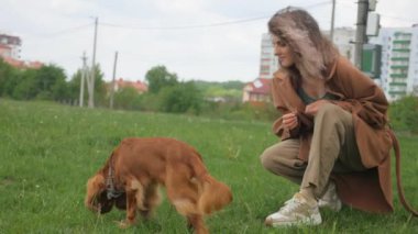 Mutlu kadın ve tüylü arkadaşı parkta güneşli bir günün tadını çıkarıyorlar. Parkta neşeli kahverengi bir köpek olan Cocker Spaniel ile etkileşime giren bir kadın. Gülümseyen kadın, açık havada dost canlısı kahverengi bir köpeği okşuyor. Bir kadın ve kahverengi köpeği arasında sakin bir an.