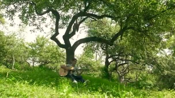 一个音乐家在公园的一棵树下弹奏他的吉他手的动人场景 柔和的旋律弥漫在空气中 就像男人在树下弹奏吉他一样 放松时刻 男人在树阴下弹奏吉他 一个人在树下弹奏吉他 — 图库视频影像