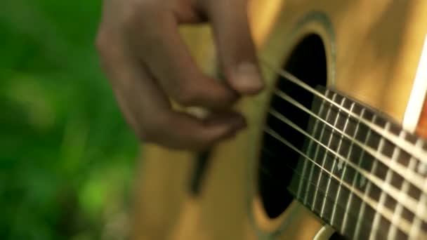 Транквільська Сцена Музиканта Який Гітару Під Деревом Парку Ніжні Мелодії — стокове відео
