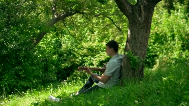 公園の木の下でギターを絞ったミュージシャンのトランキルシーン 優しいメロディーは 男が木の下でギターを演奏するように空気を満たします リラックスする瞬間 木の陰の下でギターを弾く男 木の下でアコースティックギターを演奏する男 — ストック動画