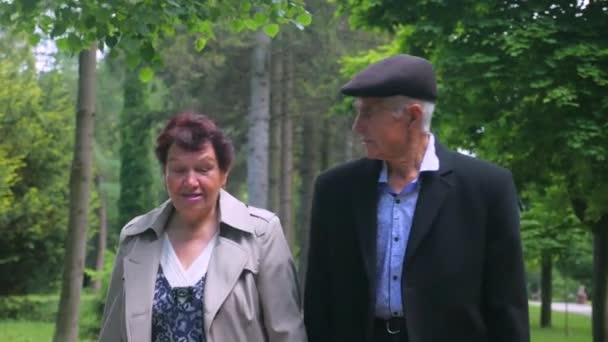 Ett Äldre Par Promenerar Lugnt Parken Man Och Kvinna Som — Stockvideo