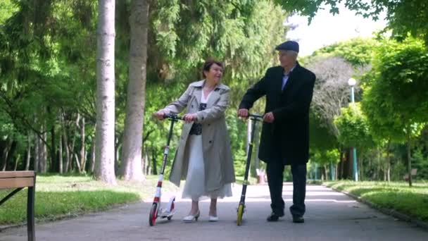 Una Pareja Ancianos Paseando Tranquilamente Por Parque Hombre Una Mujer — Vídeos de Stock