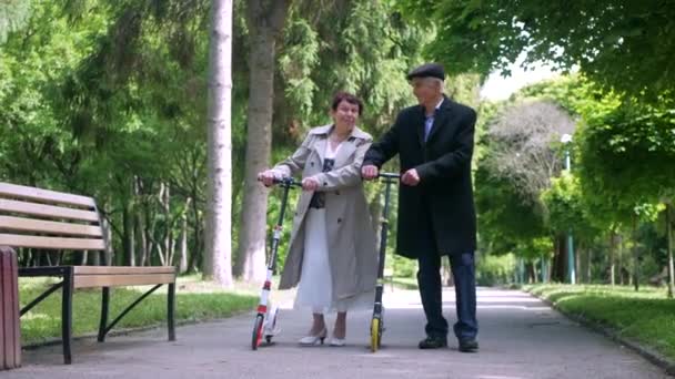 Una Coppia Anziana Passeggia Tranquillamente Nel Parco Uomo Una Donna — Video Stock