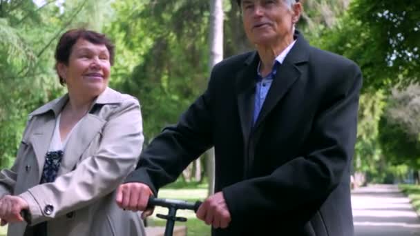 Пожилая Пара Мирно Прогуливается Парку Мужчина Женщина Наслаждаются Неторопливой Прогулкой — стоковое видео