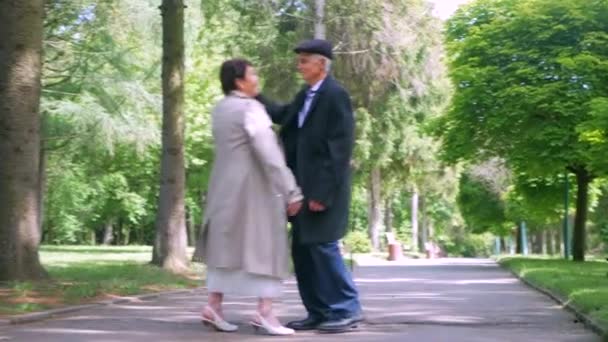 Пожилая Пара Мирно Прогуливается Парку Мужчина Женщина Наслаждаются Неторопливой Прогулкой — стоковое видео