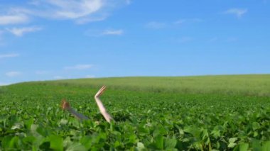 Beyaz elbiseli bir kadın yeşil bir arazide geziniyor. Beyaz elbiseli bir kadın huzurlu bir çayırda zarifçe yürüyor. Huzurlu sahne: Beyaz elbiseli kadın, mavi gökyüzüne karşı tarlada gülümsüyor ve geziniyor. Sakin bir an: zarif giyinmiş kadın 