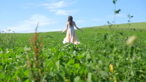 Kobieta Białej Sukience Spacerująca Zielonym Polu Kobieta Białym Body Chodząca — Wideo stockowe