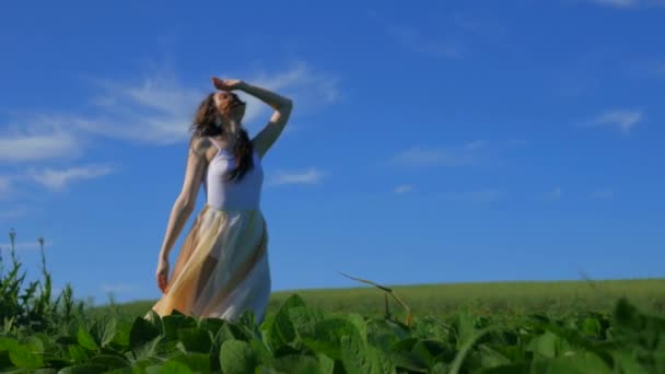 Frau Weißem Kleid Schlendert Durch Eine Grüne Wiese Frau Weißen — Stockvideo