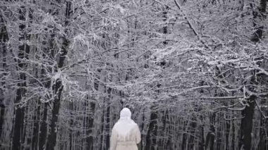 Beyaz atkı ve paltolu kadın karlı ormanda duruyor. Karla kaplı ormanda duran bir kadın. Kış sahnesinde beyaz önlüklü bir kadın kış ormanında yürüyor. Karlı orman manzarasında bir kadın. Beyaz önlüklü bir kadınla karlı orman arkaplanı. 