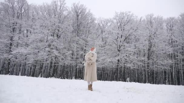 Woman White Scarf Coat Standing Snowy Forest Lady Standing Snow — Stock Video