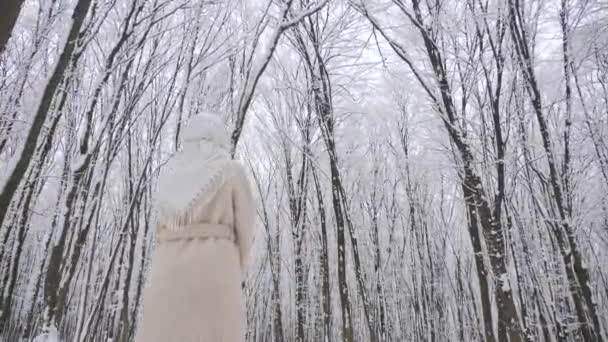 스카프와 코트에 숲에서 코트에 여자와 풍경의 코트에 여자와 — 비디오