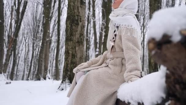 스카프와 코트에 숲에서 코트에 여자와 풍경의 코트에 여자와 — 비디오