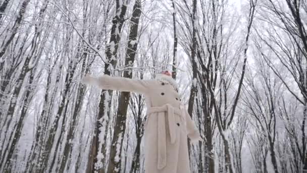 Woman White Scarf Coat Standing Snowy Forest Lady Standing Snow — Stock Video