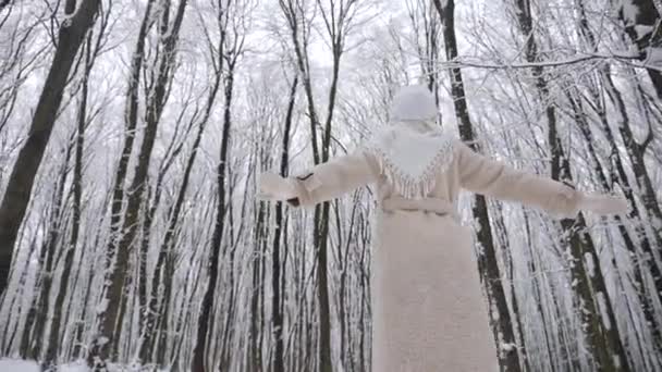 Γυναίκα Λευκό Κασκόλ Και Παλτό Στέκεται Στο Χιονισμένο Δάσος Κυρία — Αρχείο Βίντεο