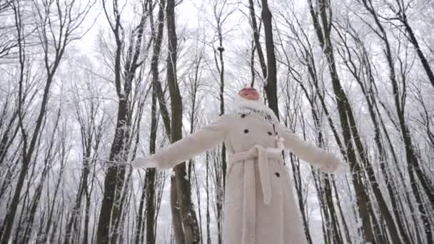 Mujer Bufanda Blanca Abrigo Pie Bosque Nevado Señora Pie Los — Vídeos de Stock