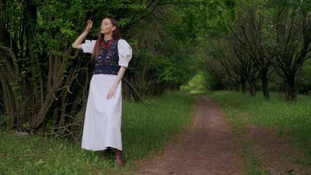 一个穿着传统白色服装的女人站在美丽的大自然中间 身着白衣的乌克兰妇女优雅地站在宁静的森林中 身着白色连衣裙的女士在宁静的森林里被茂密的绿叶环绕着 优雅的女士 — 图库视频影像