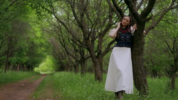 Жінка Традиційному Білому Вбранні Позує Серед Краси Природи Українська Жінка — стокове відео