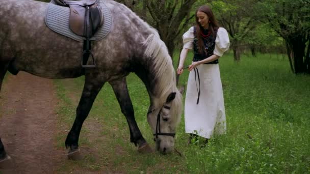 穏やかに平和な森の環境で馬を飼っている女性 女性が木々の間を歩き 馬と絆を結ぶ瞬間を静かにします 静かな森のシーンで女性と馬のつながり フィールドで馬に愛情を示す女性 女性のストローク馬 — ストック動画