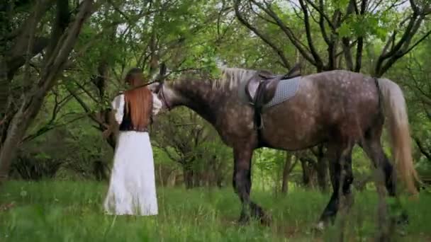 Γυναίκα Χαϊδεύει Απαλά Άλογο Ένα Ήσυχο Δάσος Γαλήνια Στιγμή Καθώς — Αρχείο Βίντεο