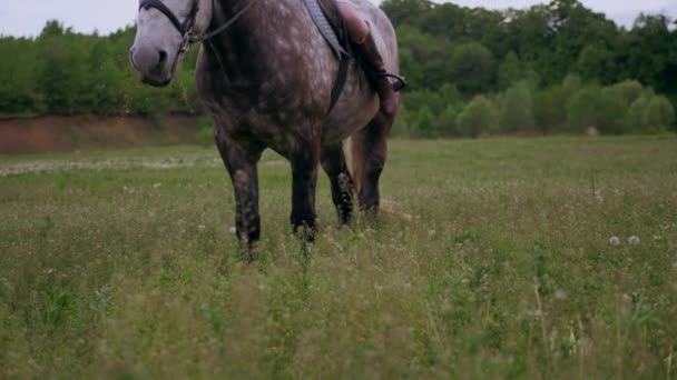 Girl Riding Horse Woodland Horseback Riding Trees Nature Serene Woman — Stock Video
