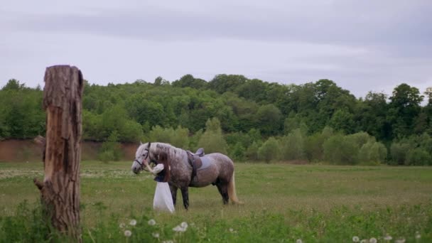 Donna Accarezzare Delicatamente Cavallo Tranquillo Ambiente Boschivo Momento Sereno Mentre — Video Stock