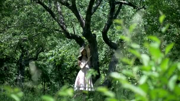 Κορίτσι Ροζ Φόρεμα Και Ψάθινο Καπέλο Στέκεται Ανάμεσα Στα Δέντρα — Αρχείο Βίντεο
