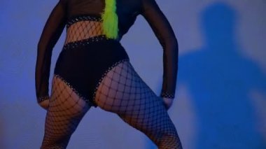 Kadınlar enerjik bir şekilde dans eder ve baştan çıkarıcı bir dans yapar. Dans eden kız. Erotik dans eden genç bir kadın. Külotlu ve bluzlu bir kadın dans ediyor. Balık ağı kıyafetli sinirli kadın şehvetle dans ediyor. Cesur kadın.