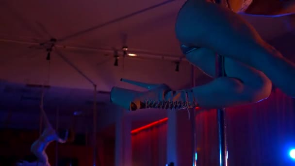 Femme Sexy Danse Pole Dance Dans Club Disco Danse Érotique — Video