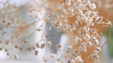 Cam vazoda kurumuş çiçekler, yakın çekim. Vazodaki kurumuş çiçeklerin detaylı görüntüsü. Soyutlama, doku, görüntü. Dekoratif vazoda solmuş çiçekleri yakından çek. Makro resim bir vazoda sergilenen kurumuş bitki örtüsü. 